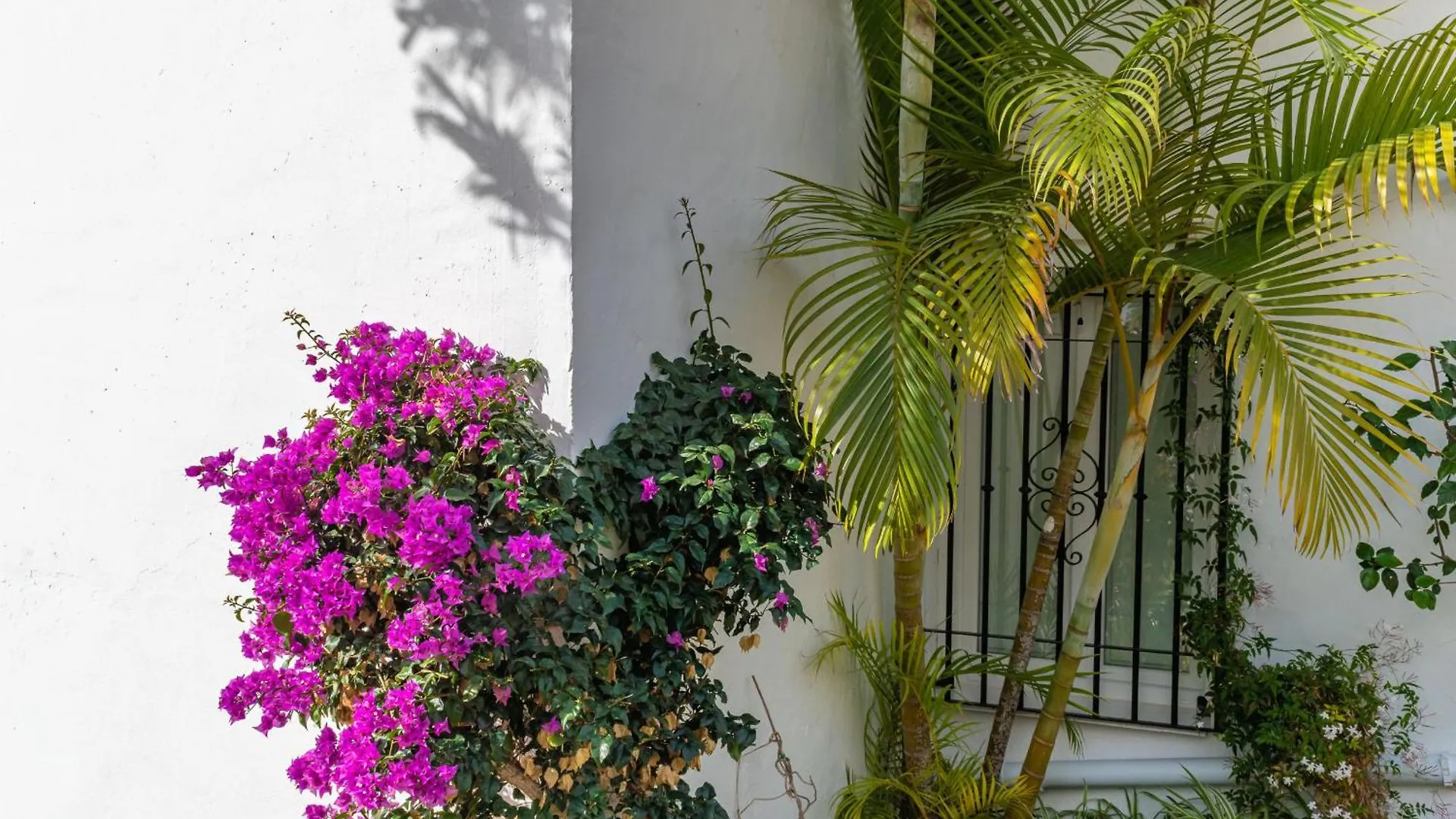Apartment Casablanca 46 Oasis Properties Nerja