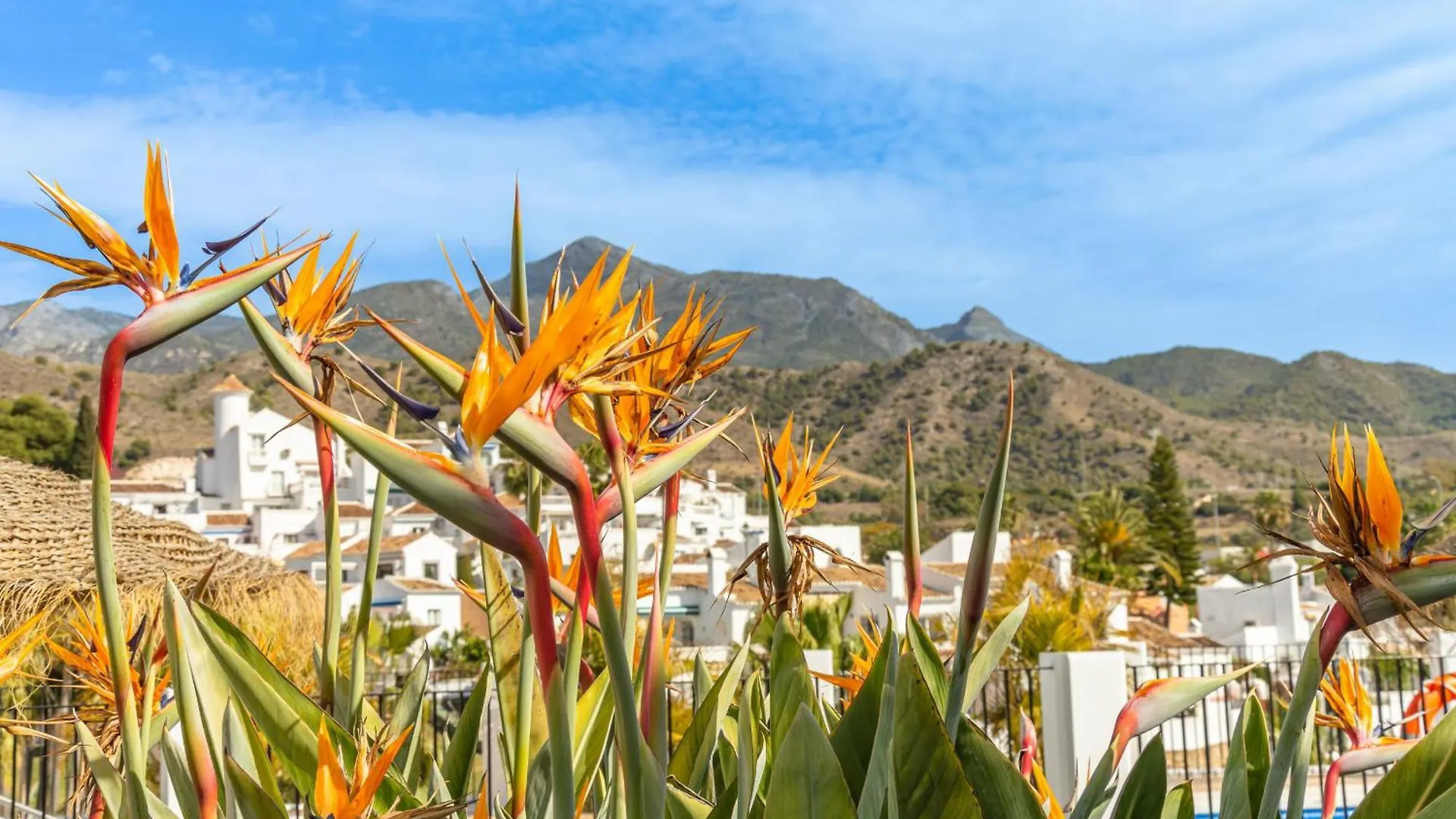 Casablanca 46 Oasis Properties Nerja Spain